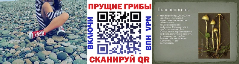 Галлюциногенные грибы мицелий  mega вход  Таштагол 